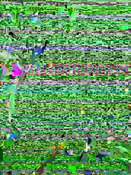 long nigth online show from 6, 6, 2026