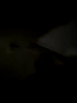 Snapshot of freedmar chatting on 5, 11, 2025 freedmar online show from 5, 11, 2025