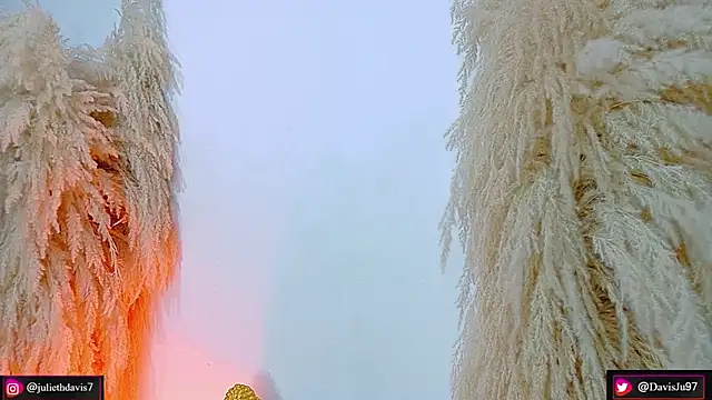 JulietaDavis online show from 17, 4, 2026