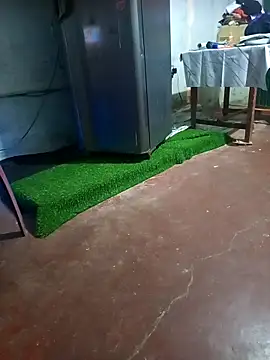 BabyHansi online show from 29, 3, 2026