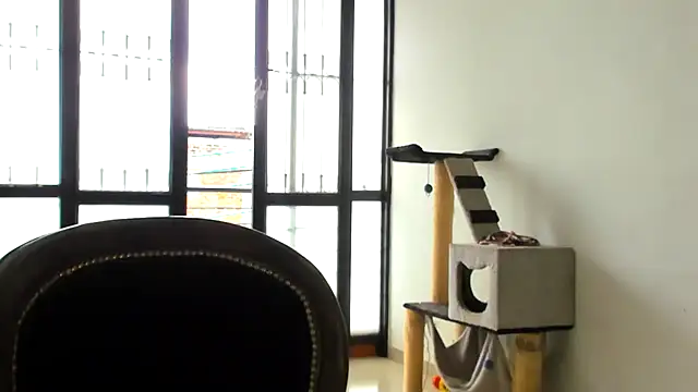 Snapshot of ADHARAMILLER__1111 chatting on 23, 11, 2025 ADHARAMILLER 1111 online show from 23, 11, 2025