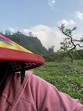 isaaa5 online show from 24, 3, 2026