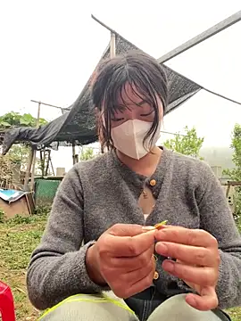 isaaa5 online show from 17, 4, 2026