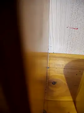 daisylouis online show from 21, 4, 2026