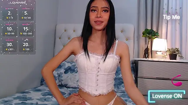 Snapshot of megumishemale_x chatting on 29, 11, 2025 megumishemale x online show from 29, 11, 2025