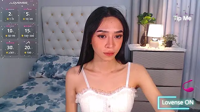 Snapshot of megumishemale_x chatting on 18, 12, 2025 megumishemale x online show from 18, 12, 2025