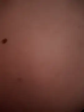 TuryxXx online show from 13, 12, 2024