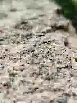 Girls pussy rider online show from 14, 9, 2025