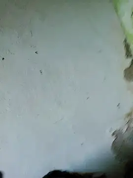 perversa068 online show from 4, 2, 2026