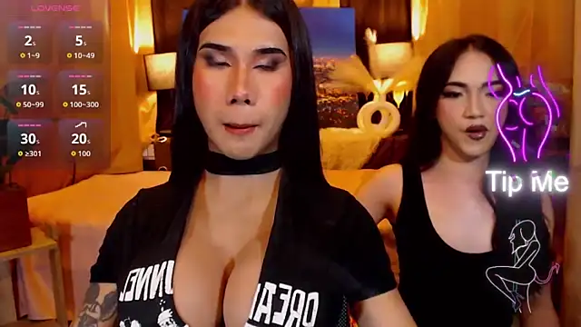 TRANSPORNIDOL online show from 27, 5, 2026