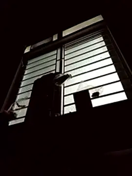 spsale online show from 16, 4, 2026