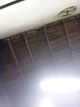 S-kt-et online show from 29, 4, 2026