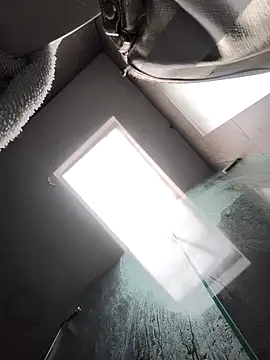 Cami Konor online show from 7, 1, 2026