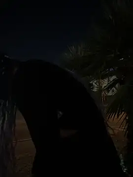 Snapshot of TranSexualJade95 chatting on 1, 11, 2025 TranSexualJade95 online show from 1, 11, 2025