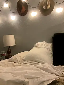 thejohnryancollection online show from 4, 11, 2025