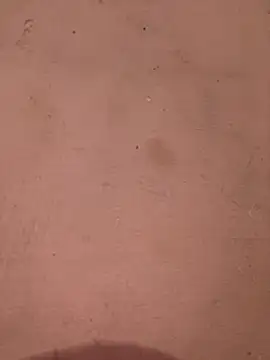 Snapshot of sakshi5533 chatting on 28, 11, 2025 sakshi5533 online show from 28, 11, 2025