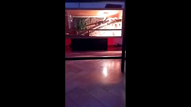 M6I6K6Exh online show from 4, 12, 2025