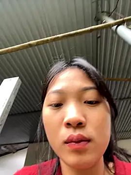 Snapshot of Phayphay77 chatting on 21, 11, 2025 Phayphay77 online show from 21, 11, 2025