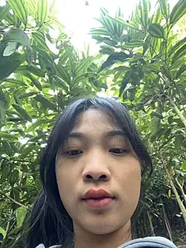 Snapshot of Phayphay77 chatting on 25, 11, 2025 Phayphay77 online show from 25, 11, 2025