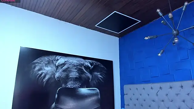 andres-clark92 online show from 6, 3, 2026