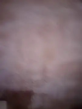 ddllrr224 online show from 16, 12, 2025