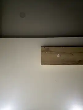 ALANNFERRER online show from 10, 9, 2025