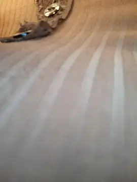 Snapshot of Sandiq99six chatting on 7, 11, 2025 Sandiq99six online show from 7, 11, 2025