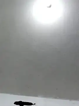 Ferdp online show from 22, 12, 2025