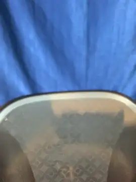 Snapshot of Rashi-48 chatting on 17, 11, 2025 Rashi-48 online show from 17, 11, 2025