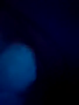 treefrog2025 online show from 17, 9, 2025