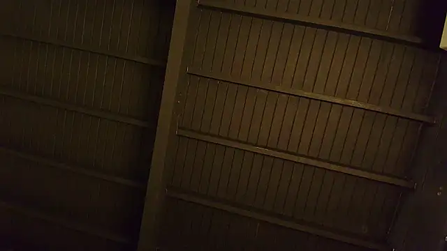 Snapshot of lilyth_bloom chatting on 15, 12, 2025 lilyth bloom online show from 15, 12, 2025