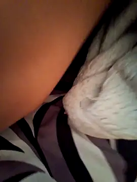 BooingCabalist online show from 10, 3, 2026