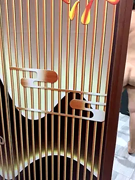 yang-2269 online show from 21, 11, 2025