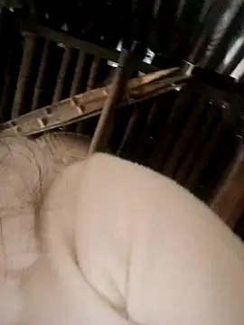 Snapshot of Bianly chatting on 15, 11, 2025 Bianly online show from 15, 11, 2025