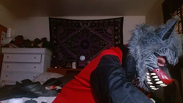 Snapshot of reebokrick650 chatting on 31, 10, 2025 reebokrick650 online show from 31, 10, 2025