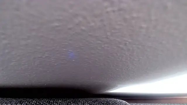 cucciolotto76 online show from 26, 11, 2025