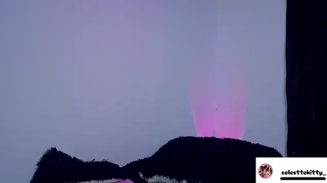 celestte evans 1 online show from 6, 3, 2026