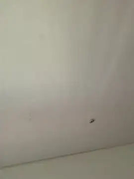 Snapshot of lana_rousse01 chatting on 9, 9, 2025 lana rousse01 online show from 9, 9, 2025