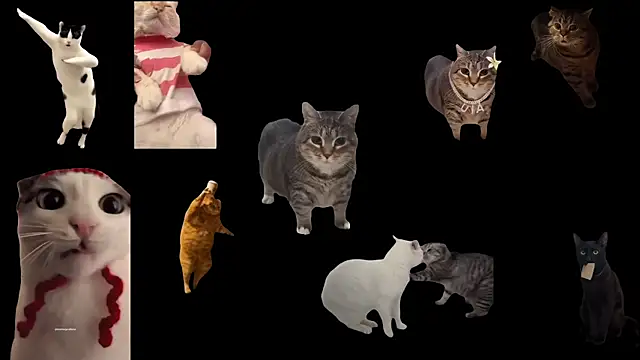 Snapshot of ch0wn_m chatting on 14, 11, 2025 ch0wn m online show from 14, 11, 2025