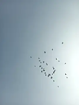 Snapshot of amitkumarkangra chatting on 19, 12, 2025 amitkumarkangra online show from 19, 12, 2025