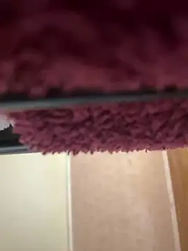 bb empress online show from 26, 9, 2025