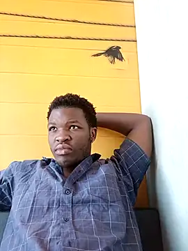 niccobigd online show from 18, 3, 2026