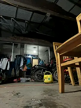 Sunny lotus online show from 21, 10, 2025