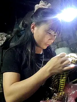 Sunyinn online show from 3, 11, 2025