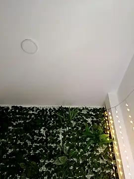 RosseCollins online show from 9, 11, 2025