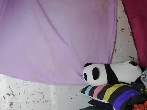 violen786 online show from 29, 10, 2025