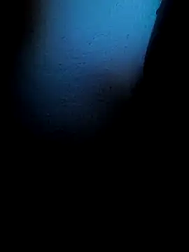 Snapshot of Mancho2289 chatting on 13, 4, 2026 Mancho2289 online show from 13, 4, 2026