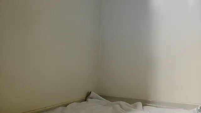 shint-11 online show from 19, 10, 2025