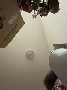 Tu GataLinda online show from 19, 11, 2025