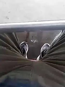 Snapshot of Aliyeni1 chatting on 1, 12, 2025 Aliyeni1 online show from 1, 12, 2025